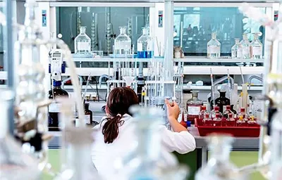 Programas de investigación de alto nivel enfocados en la generación de conocimiento y la excelencia académica.